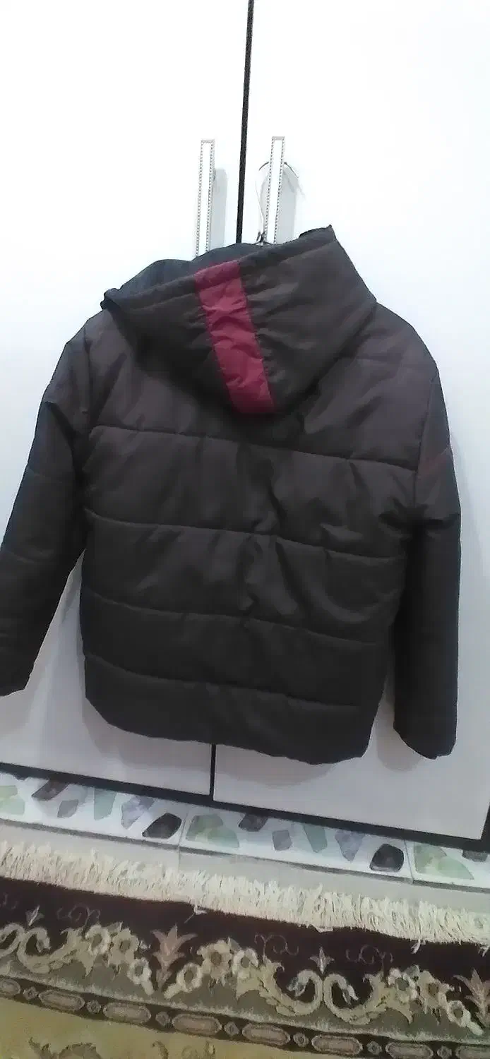 کاپشن پسرانه|لباس|ایلام, |دیوار