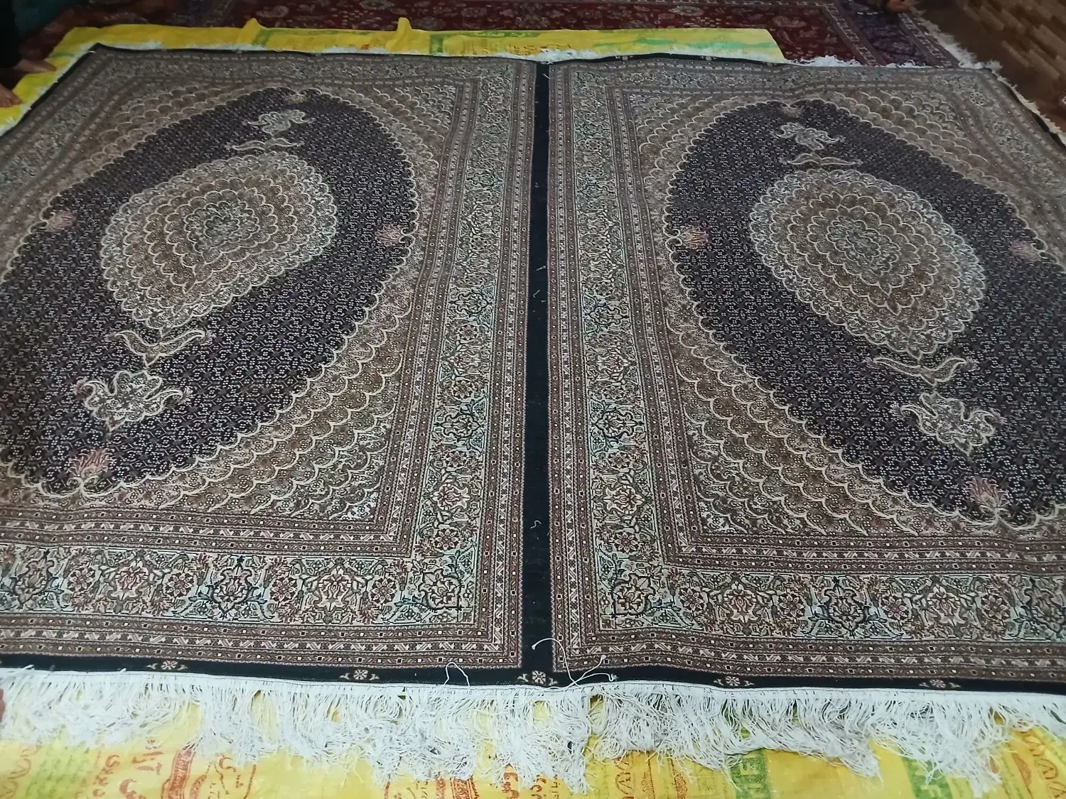 ارسال رایگان بافنده ام چهل رج جفت نه متری|فرش|اردبیل, |دیوار