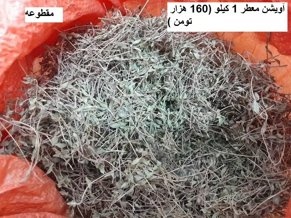 تخم مرغ محلی تازه با کیفیت وآویشن وچای کوهی|خوردنی و آشامیدنی|قزوین, |دیوار