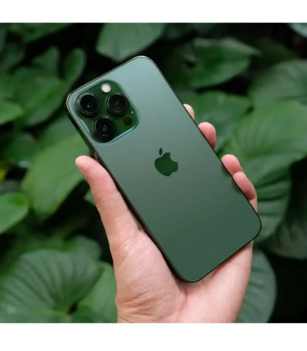 آیفون ۱۳ پرو|موبایل|مشهد, الهیه|دیوار