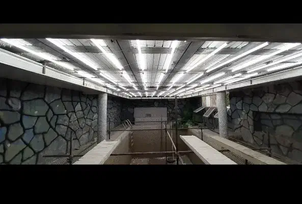 برقکاری عیبیابی تخصصی ساختمان و صنعتی با گارانتی|خدمات پیشه و مهارت|کرج, حاجی آباد|دیوار