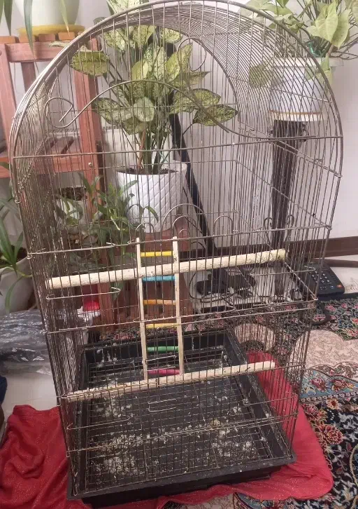 قفس بزرگ|لوازم جانبی حیوانات|تهران, هفده شهریور|دیوار
