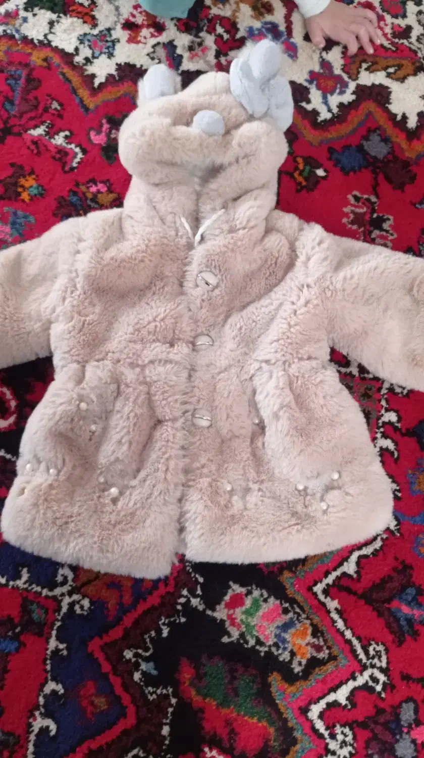 کاپشن پشم|لباس|آذرشهر, |دیوار