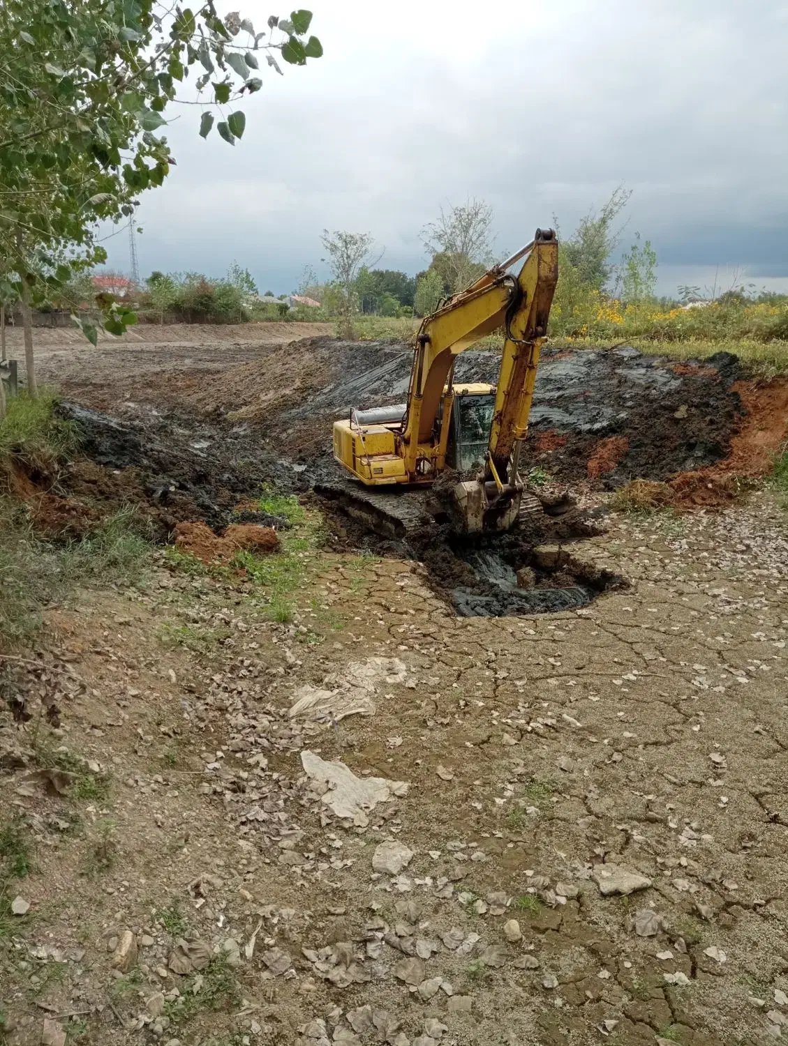 اجاره بیل مکانیکی زنجیری و بلدوزر|خدمات حمل و نقل|رشت, گلسار|دیوار