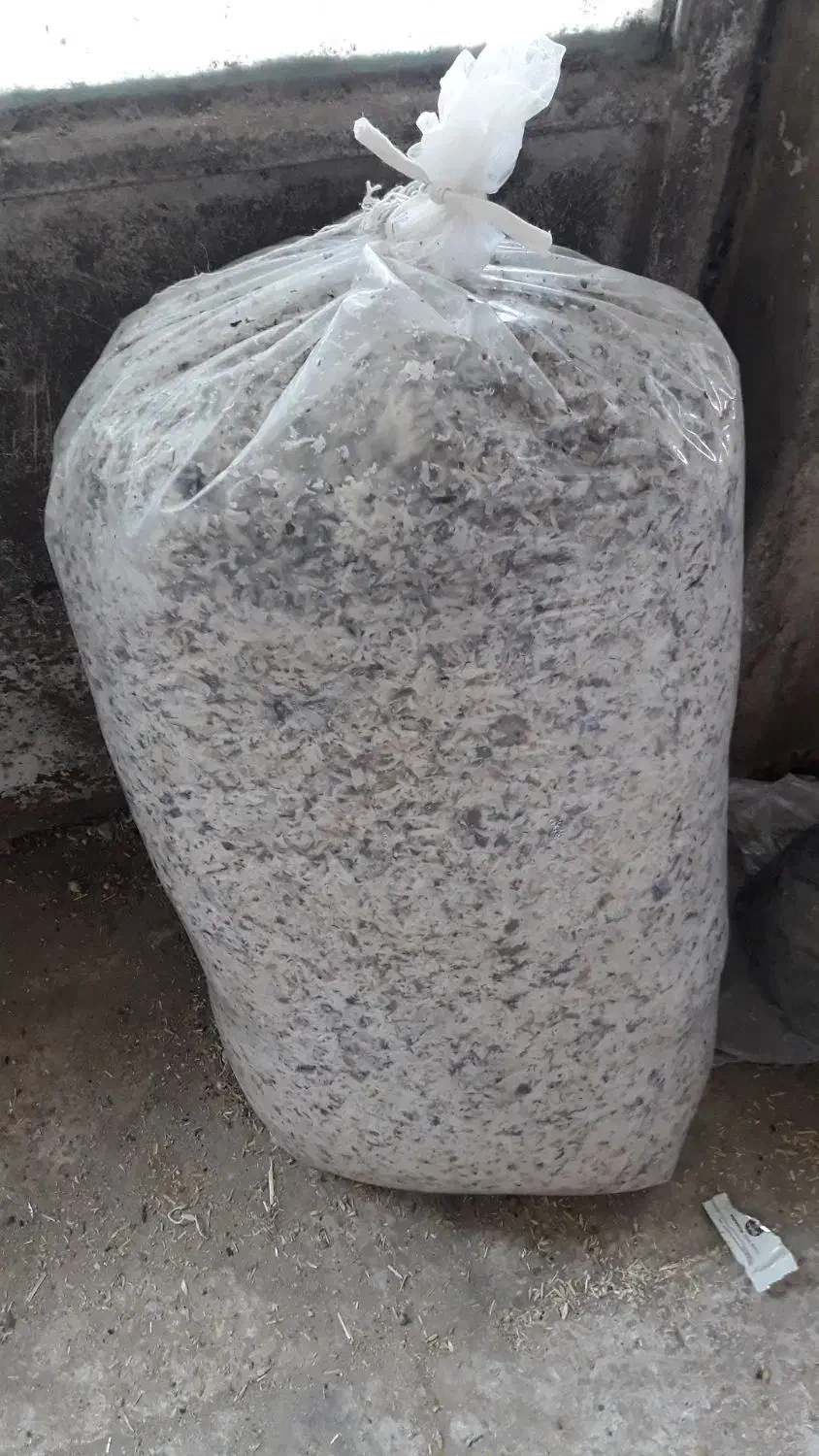 تفاله چغندر تر دونم۸/۷۰۰|عمده‌فروشی|کردکوی, |دیوار