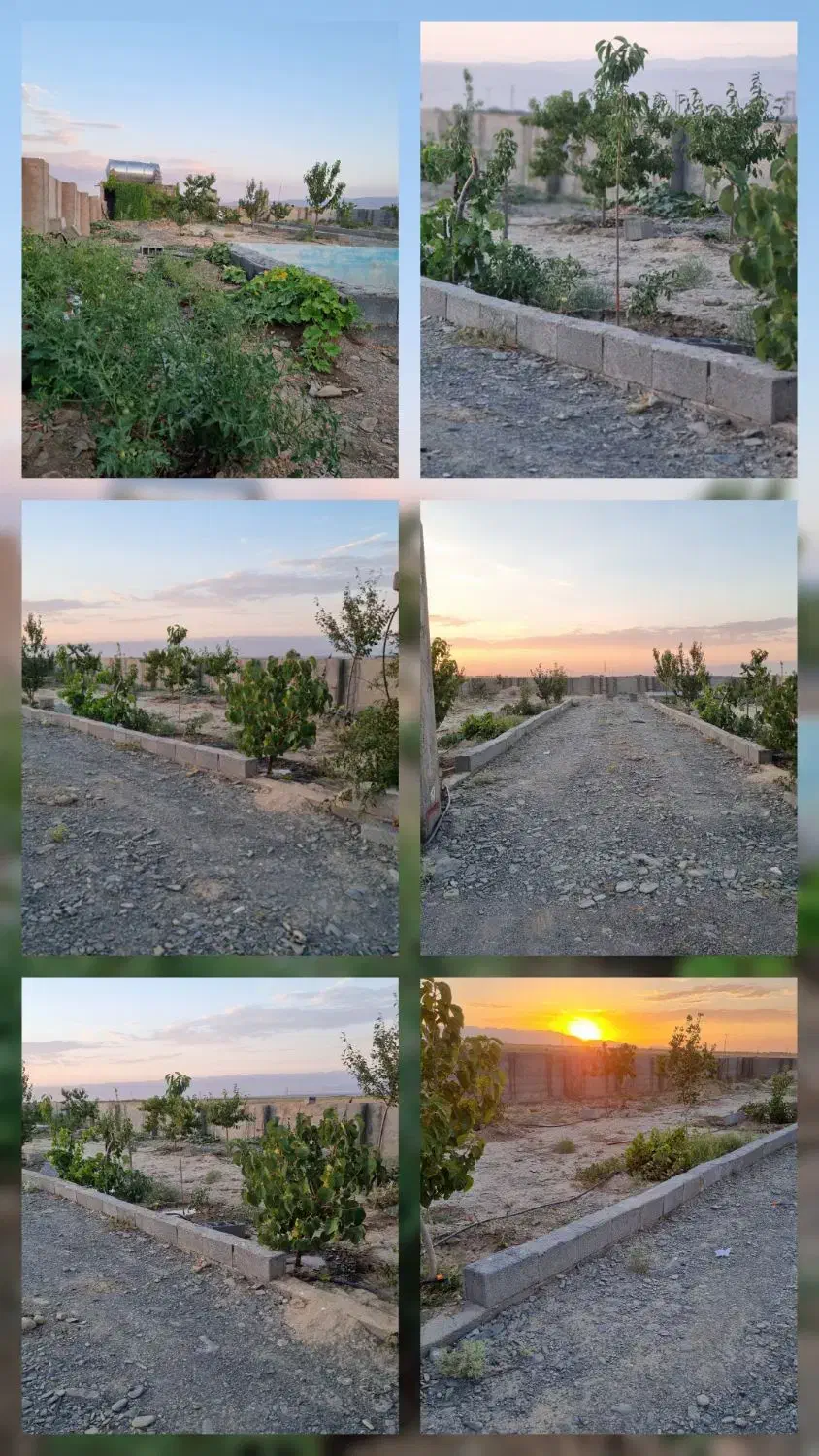 زمین ۵۰۰ متری|فروش زمین و ملک کلنگی|مشهد, کوشش|دیوار