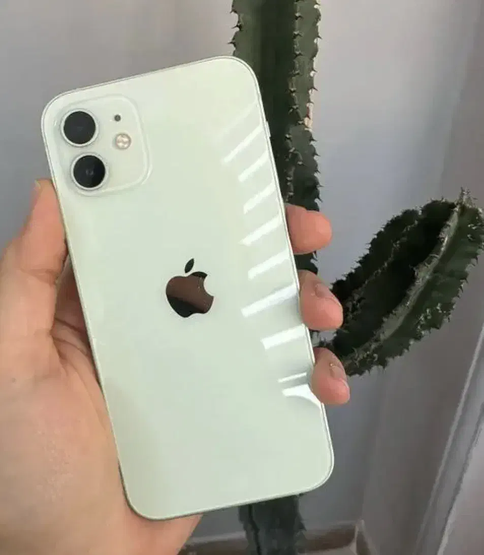 اپل iPhone 12 با حافظهٔ ۱۲۸ گیگابایت|موبایل|بجنورد, |دیوار
