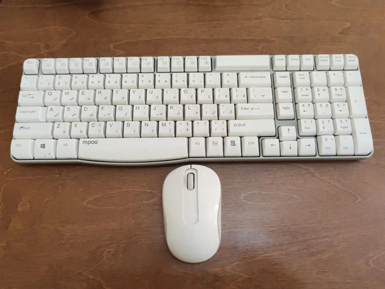 فروش کیبورد و موس|قطعات و لوازم جانبی رایانه|تبریز, |دیوار