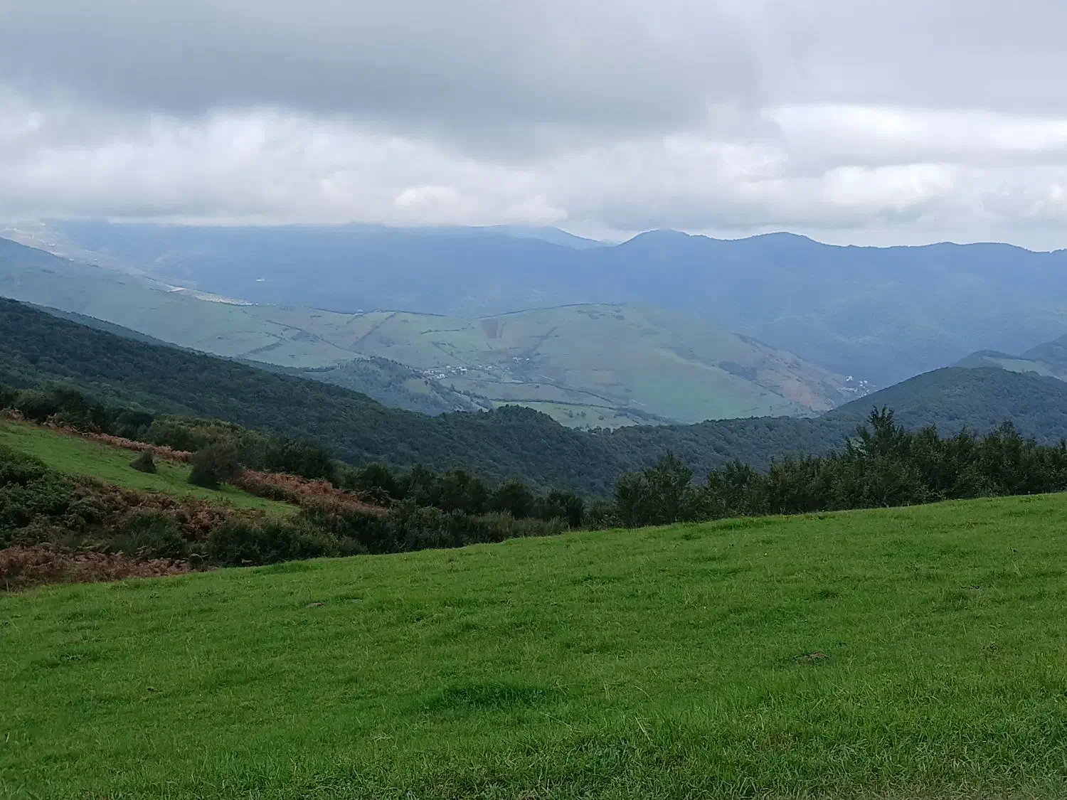 یکنفر مهندس باسابقه جهت رتبه بندی|استخدام معماری، عمران و ساختمانی|اردبیل, |دیوار