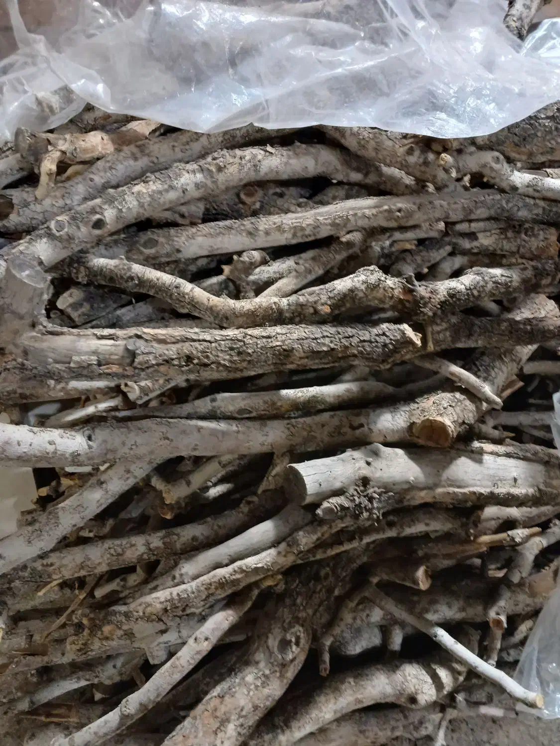 فروش هیزم پسته|کوهنوردی و کمپینگ|اردکان, |دیوار