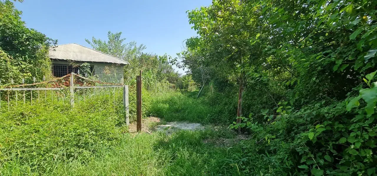 فروش ملک در منطقه آزاد اقتصادی شمال کشور|فروش زمین و ملک کلنگی|خرمآباد (تنکابن), |دیوار