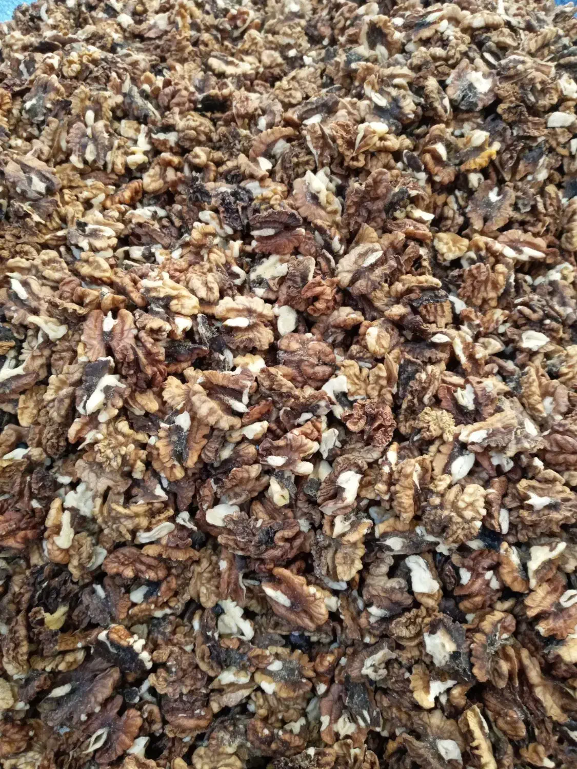 مغز گردوی درجه 2|خوردنی و آشامیدنی|رشت, ترمینال|دیوار