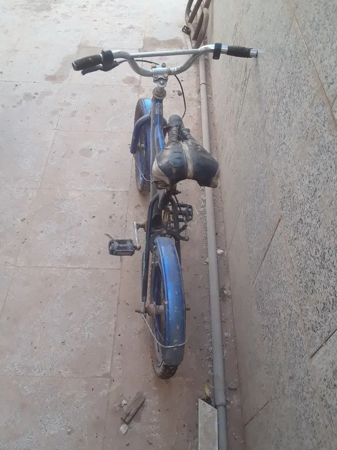 فروش دوچرخه|دوچرخه، اسکیت، اسکوتر|زارچ, |دیوار