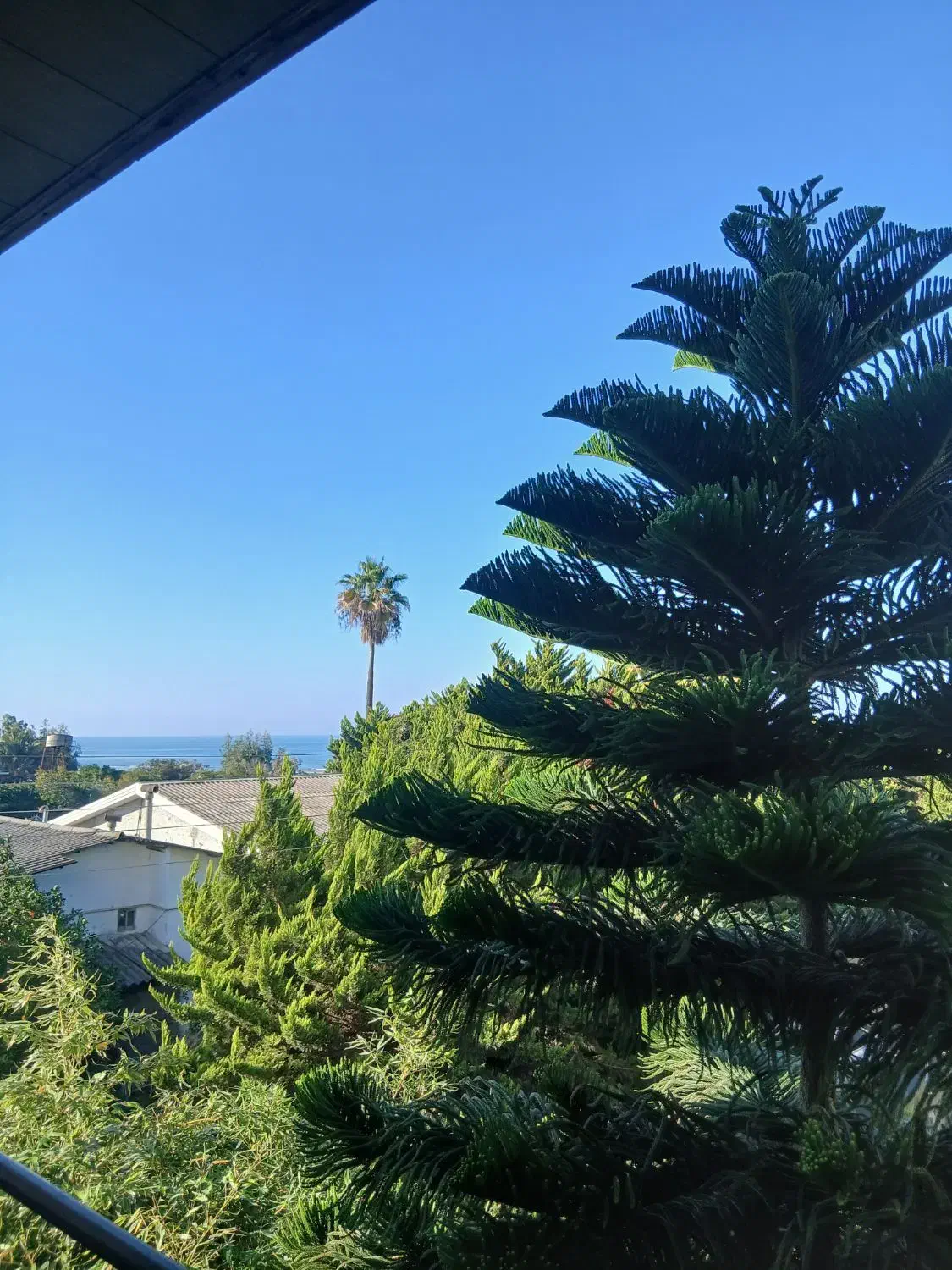 استخدام نظافتچی|استخدام سرایداری و نظافت|ایزدشهر, |دیوار