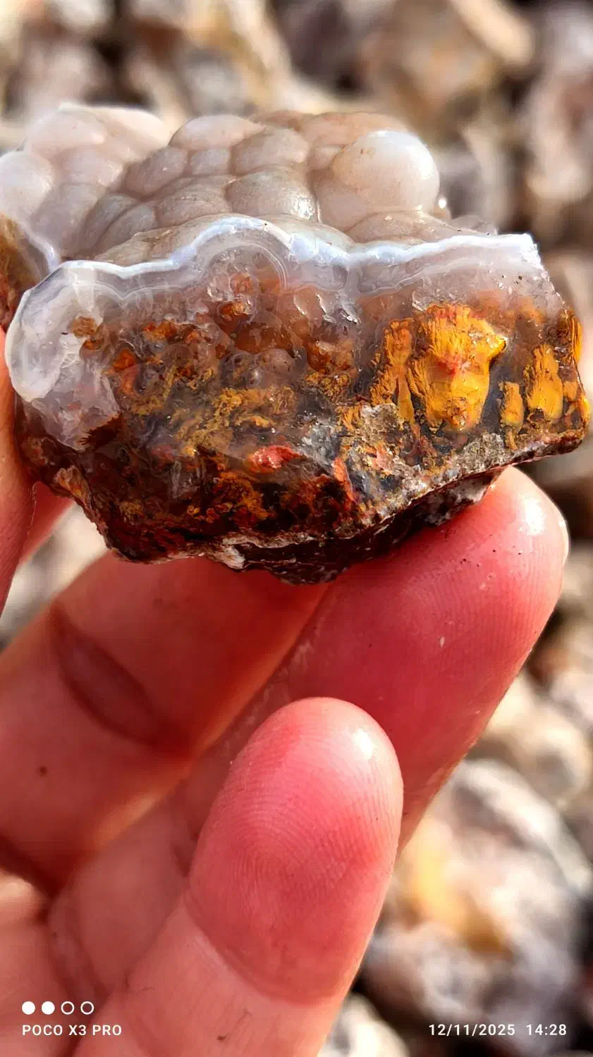 عقیق شجر سه قلعه خراسان|جواهرات|رفسنجان, |دیوار