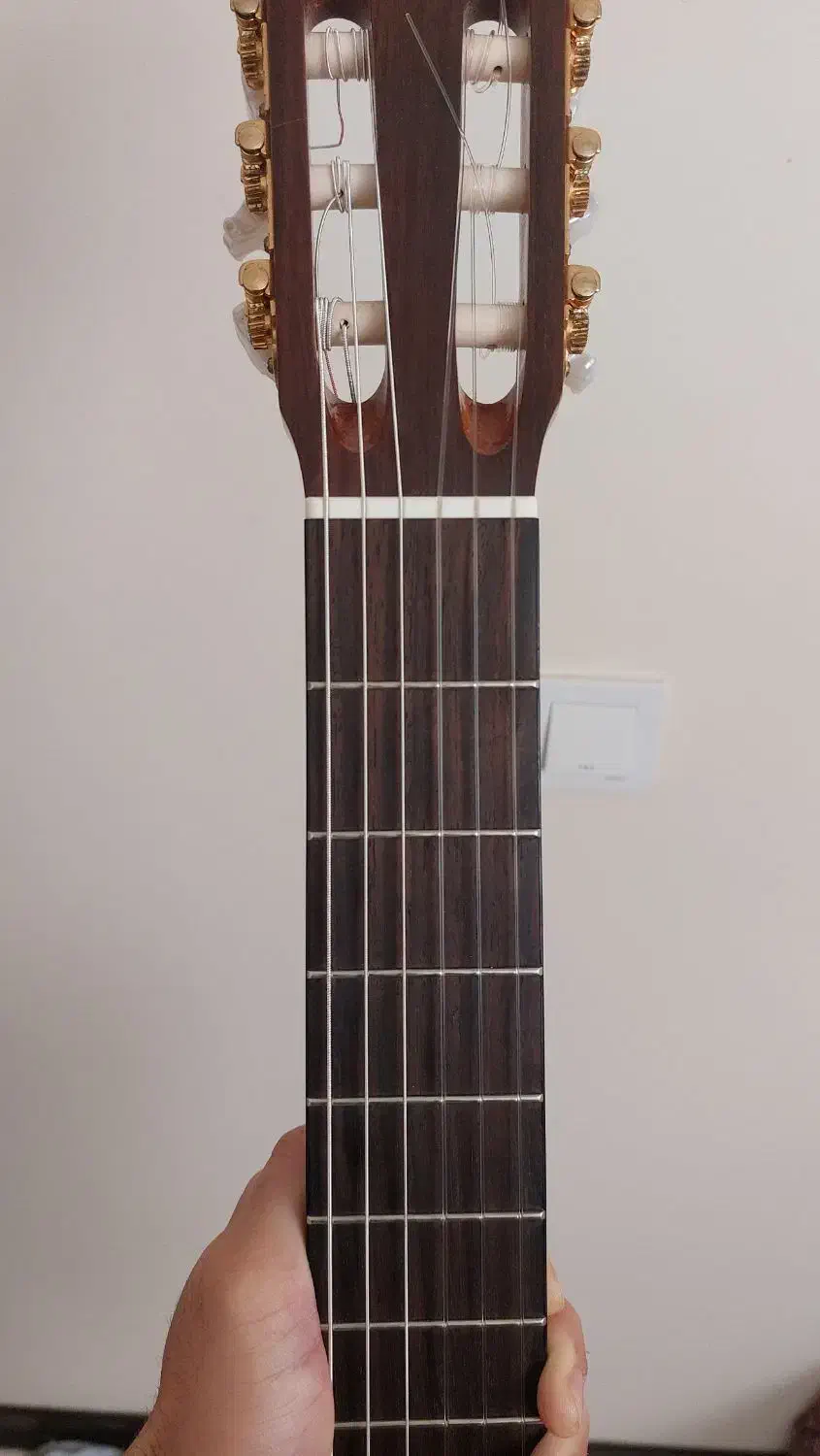 بهترین گیتار برای پیشرفت و حرفه ای شدن|گیتار، بیس، امپلیفایر|کرج, فاز ۲ مهرشهر|دیوار