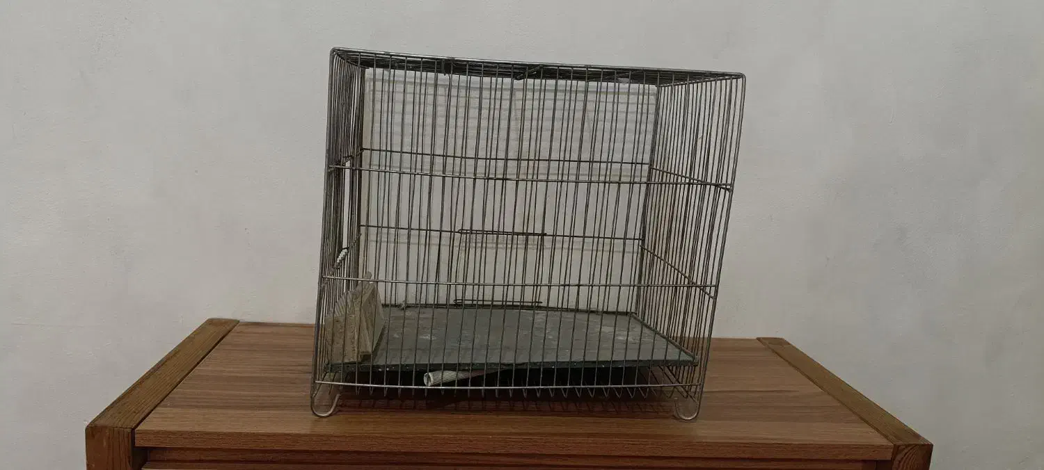 قفس|لوازم جانبی حیوانات|قزوین, |دیوار