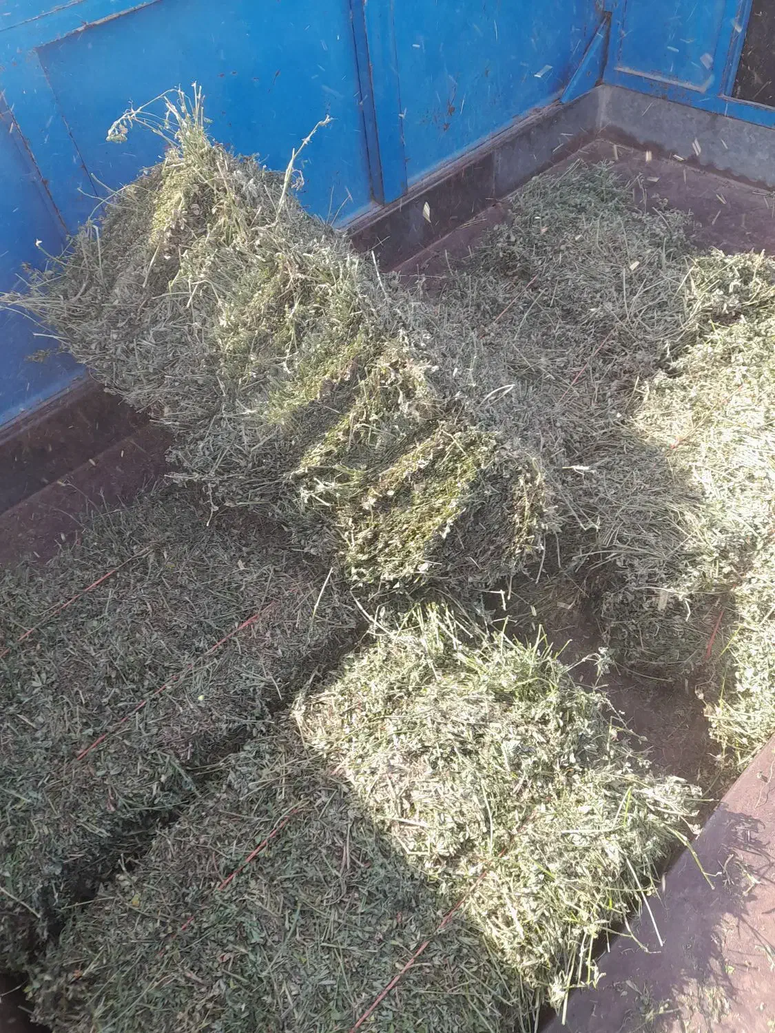 فروش یونجه جزئی و عمده|عمدهفروشی|دشتابی, |دیوار