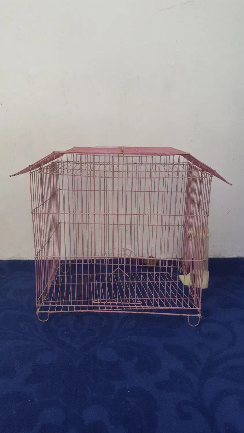 قفس پرنده|لوازم جانبی حیوانات|ایلام, |دیوار