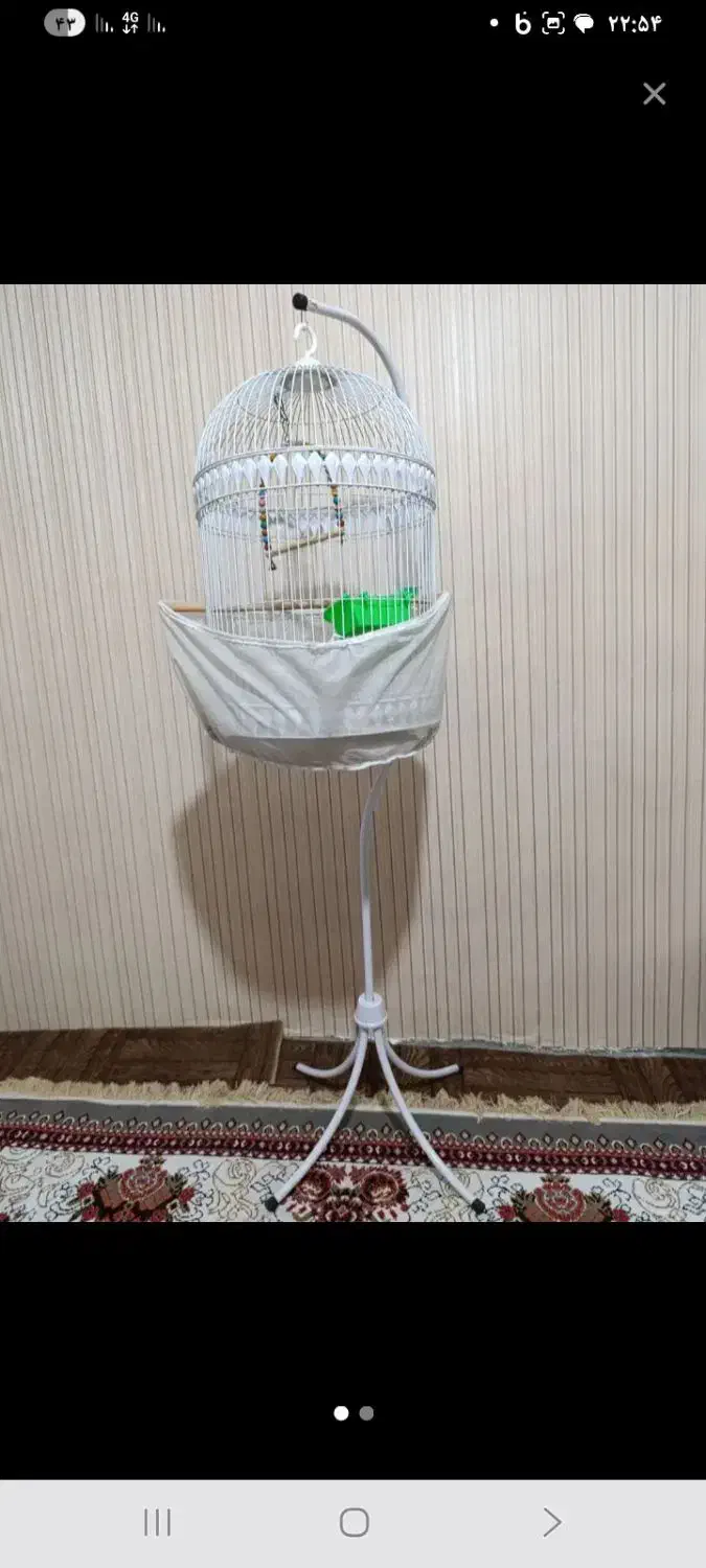 قفس وسایل معاوظه کفتر.|لوازم جانبی حیوانات|تربتحیدریه, شهرک ولیعصر|دیوار