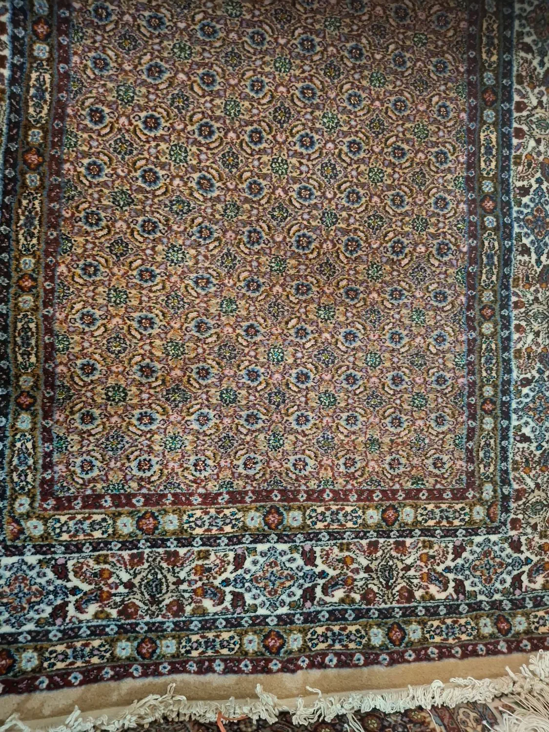 فرش دست بافت شش متری(تک)|فرش|پردیس, فاز ۴|دیوار