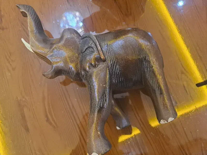 فیل چوبی|مجسمه، تندیس، ماکت|ساوه, |دیوار