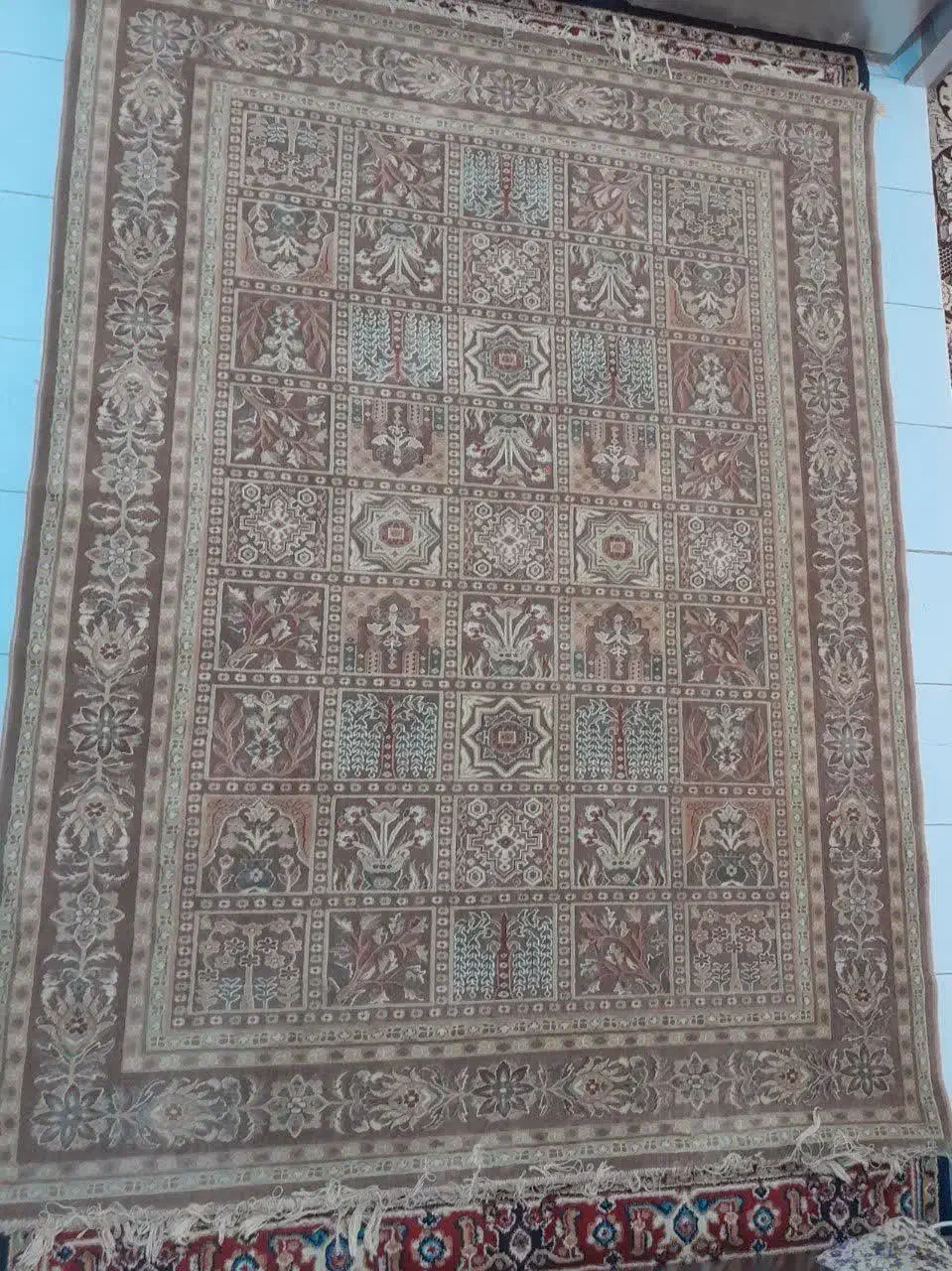 فرش|فرش|سهند, |دیوار