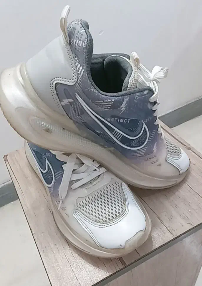 کتونی نایک|کیف، کفش، کمربند|لاهیجان, کوی آزادگان|دیوار