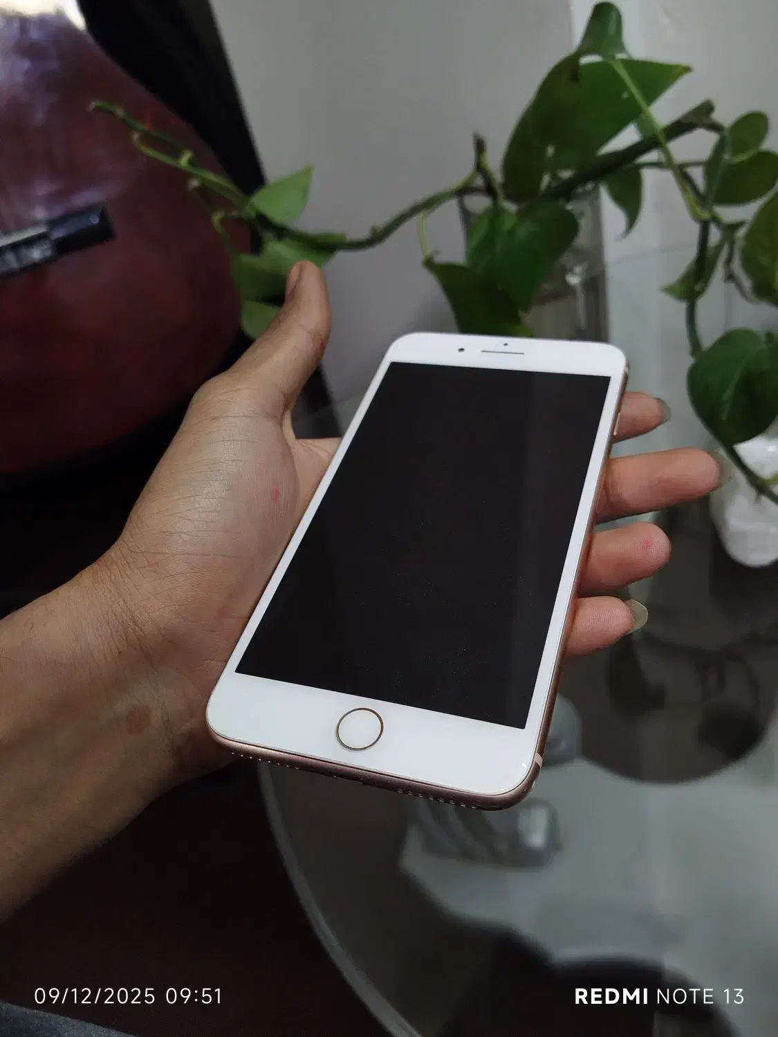 ایفون ایت پلاس درحد آکبند|موبایل|مشهد, گلبرگ|دیوار