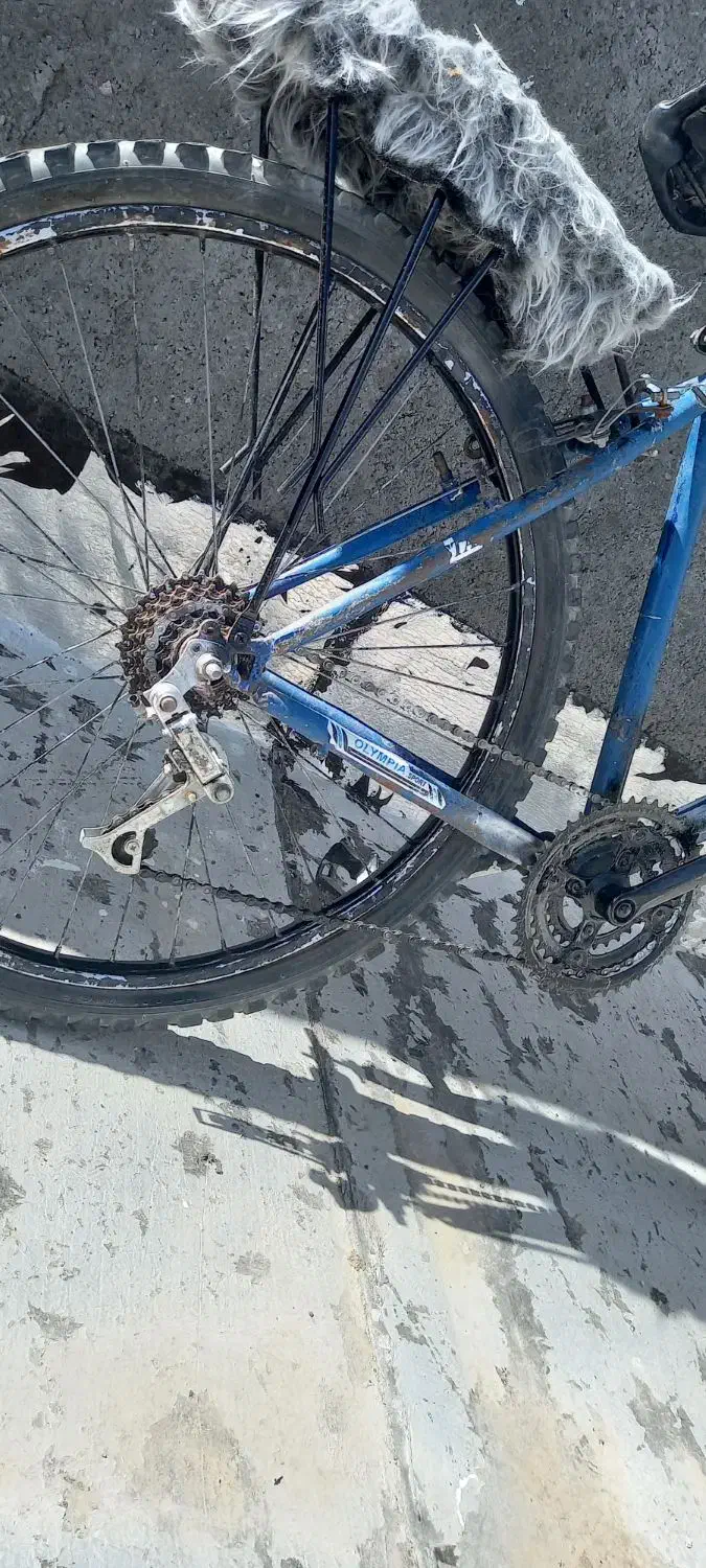 دوچرخه 26|دوچرخه، اسکیت، اسکوتر|بیرجند, |دیوار