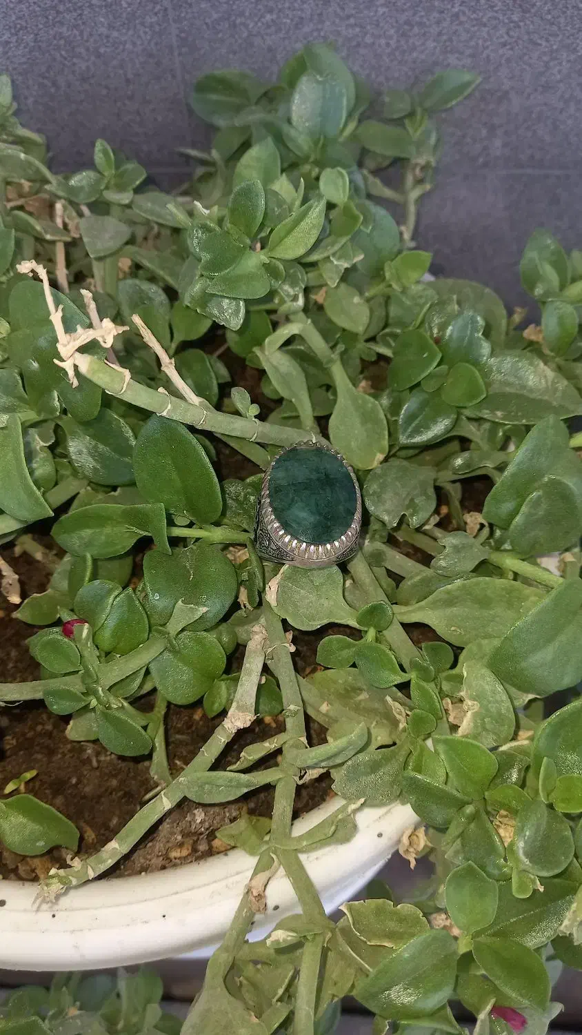 انگشترزمرد زامبیا غول پیکر|جواهرات|قزوین, |دیوار