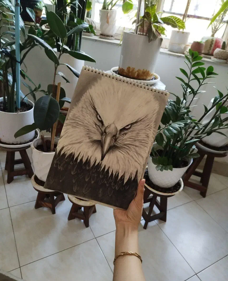 تابلوی نقاشی|تابلو، نقاشی، عکس|تایباد, |دیوار