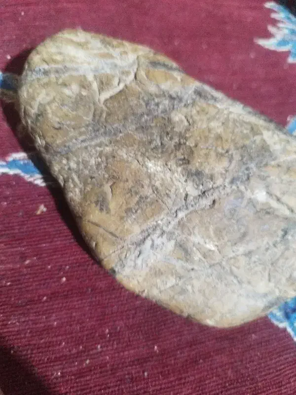 دوتا سنگ|کلکسیون اشیاء عتیقه|زاهدان, |دیوار