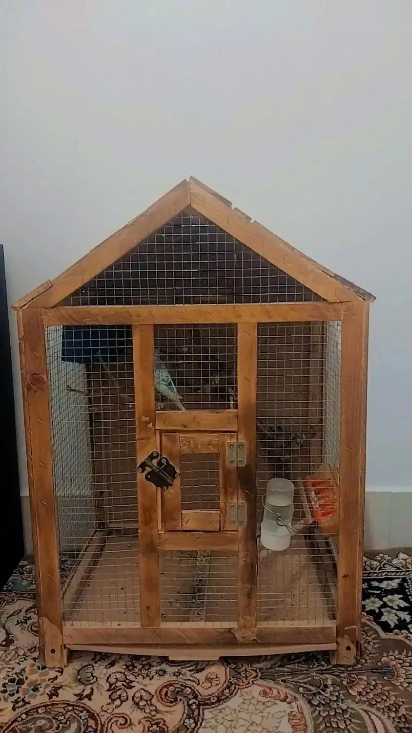 قفس کلبه ای چوبی|لوازم جانبی حیوانات|بردسکن, |دیوار