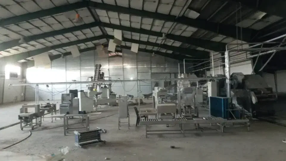 ۴۵۰۰ سوله صنعتی|اجارهٔ دفتر صنعتی، کشاورزی، تجاری|ایرانشهر, |دیوار