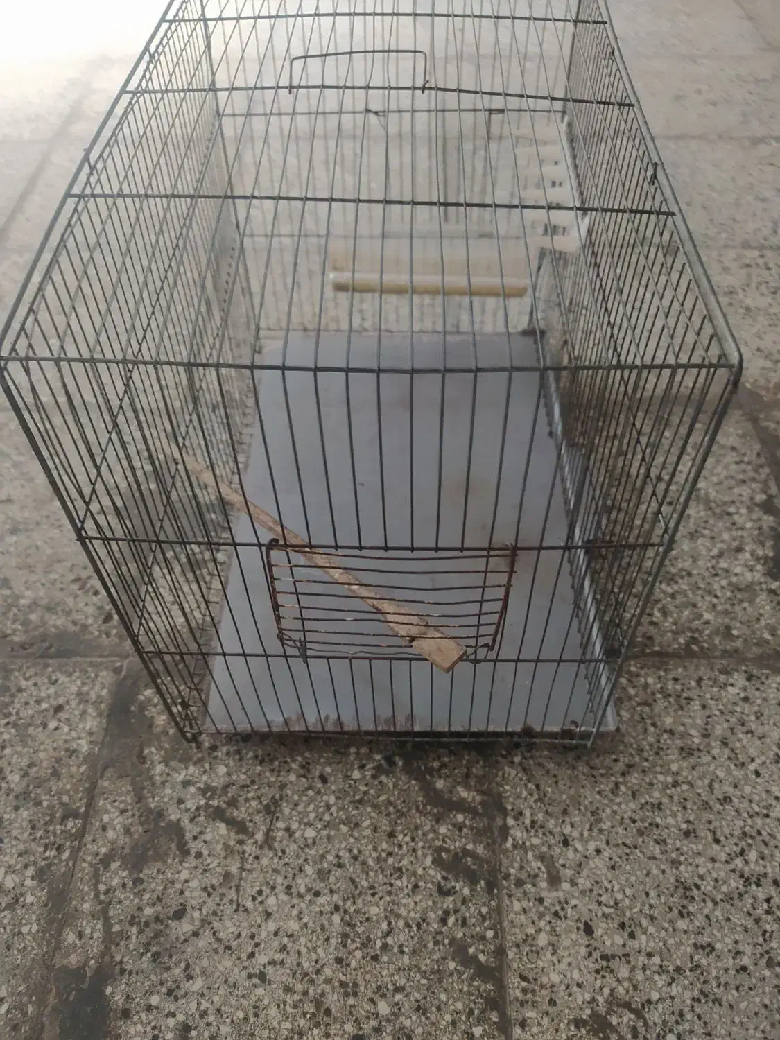 قفس فروشی فوری|لوازم جانبی حیوانات|گنبد کاووس, |دیوار