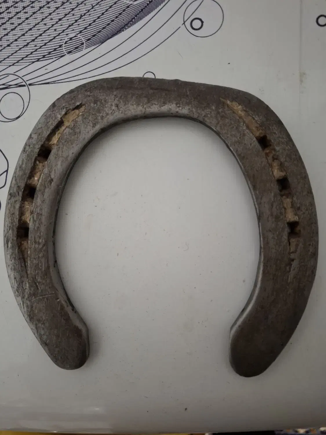 نعل اسب|اسب و تجهیزات اسب‌سواری|حمیدیا, |دیوار