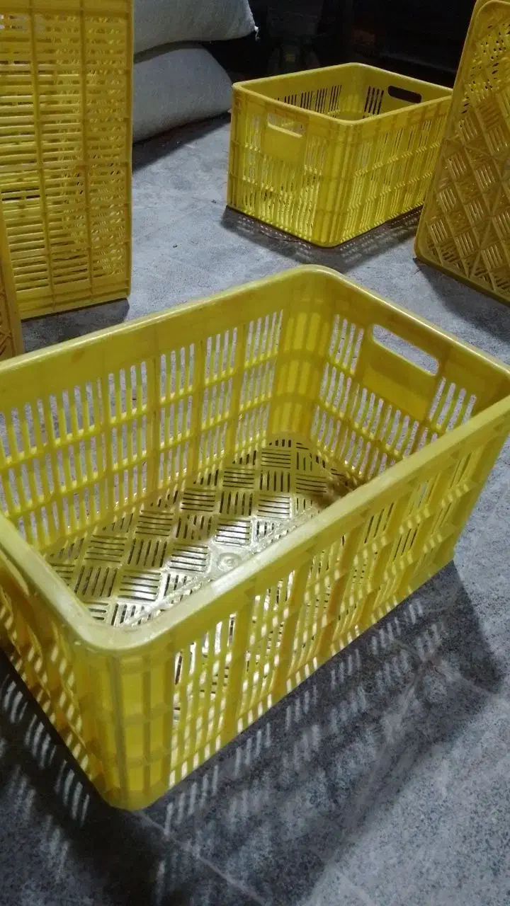 سبد ۲۵ کیلویی با کیفیت درجه یک|عمده‌فروشی|ساری, |دیوار