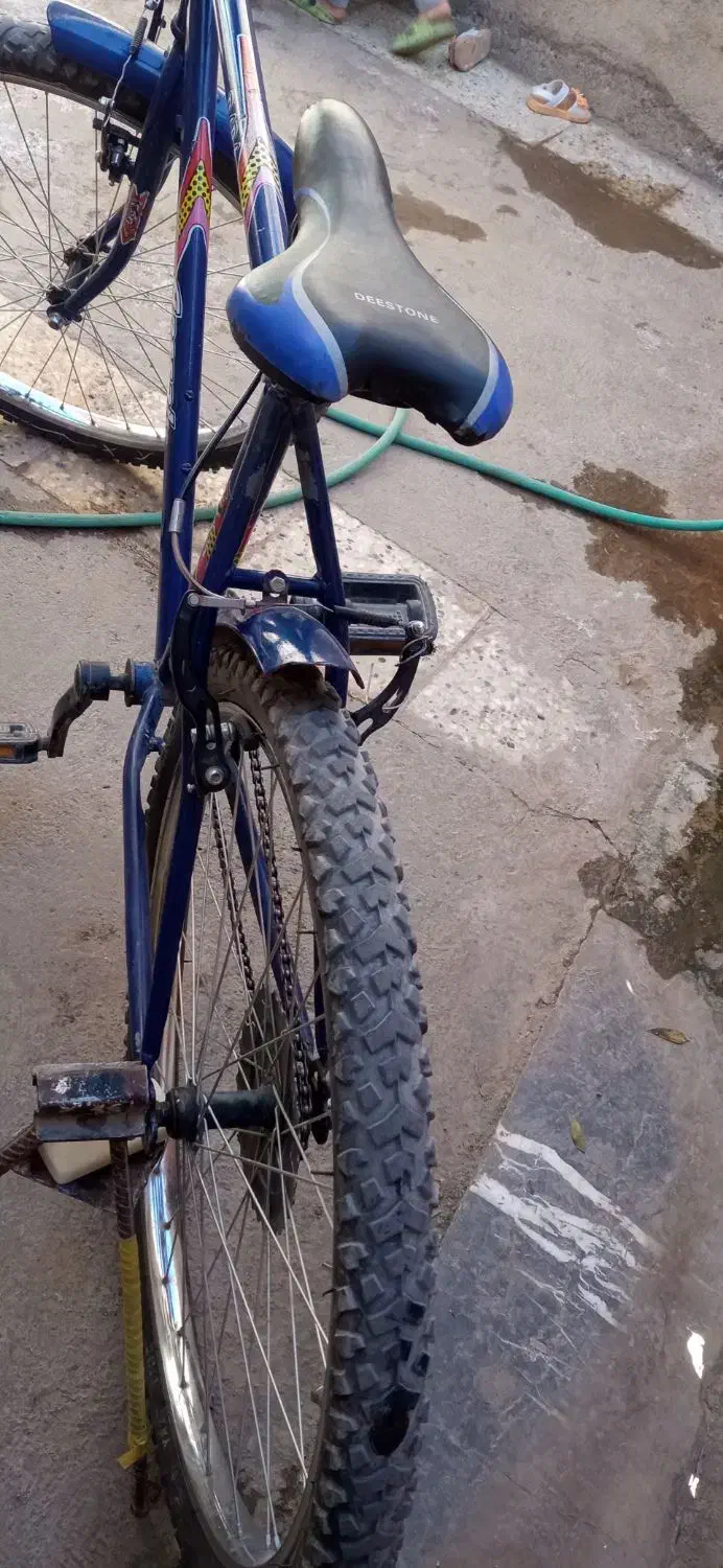 دوچرخه سند دار آساک دماوند|دوچرخه، اسکیت، اسکوتر|تربت جام, جامی|دیوار