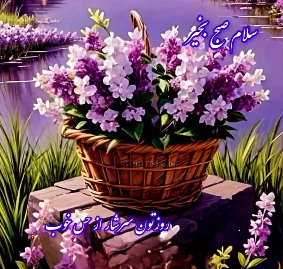 خدمات حقوقی، حسابداری و حسابرسی با کارشناسان خبره|خدمات مالی، حسابداری، بیمه|قم, باغ شریفی|دیوار