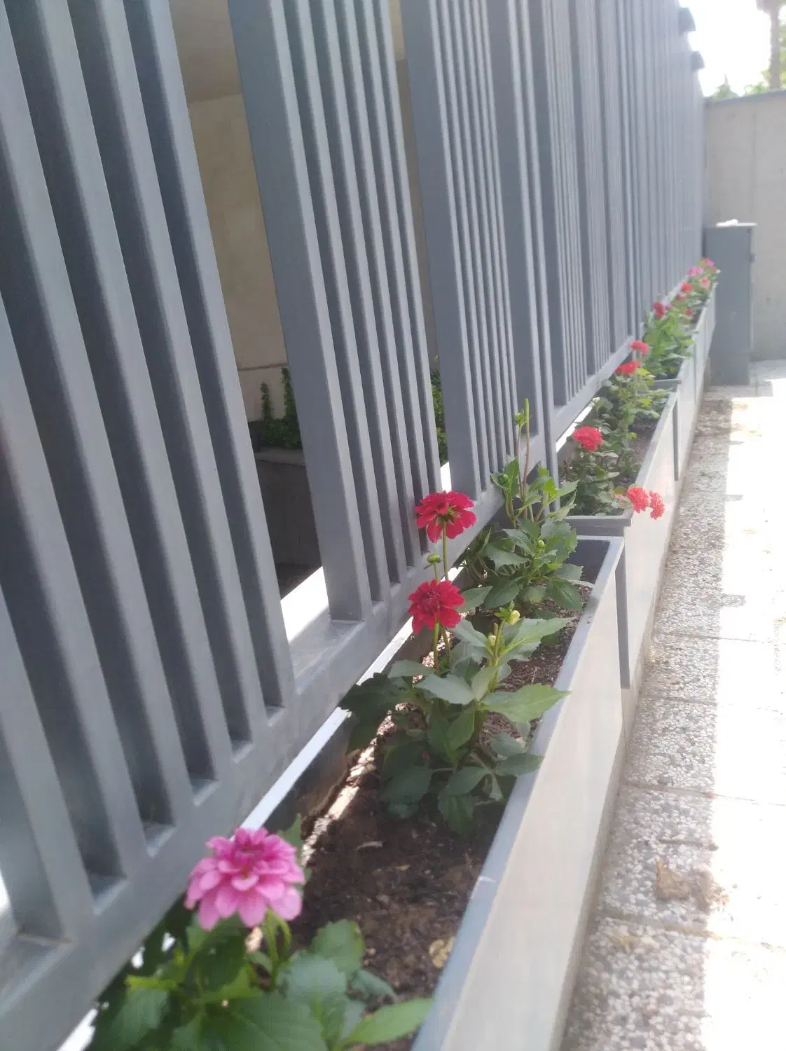 کلیه امورات باغبانی|خدمات باغبانی و درختکاری|شیراز, لشکری‎|دیوار