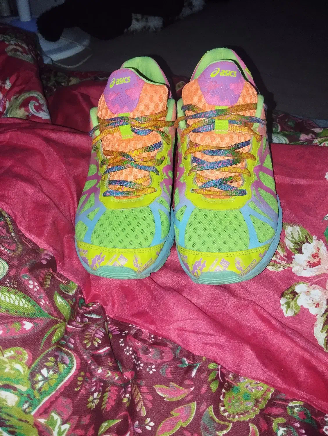 سه جفت کتونی اورجینال آدیداس نیوبالانس اسیکس|کیف، کفش، کمربند|قدس, شهرقدس|دیوار