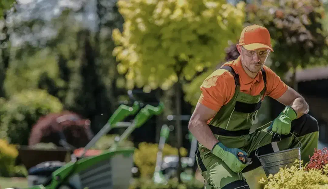 سرایدار و‌باغبان 24ساعته|استخدام سرایداری و نظافت|لنگرود, |دیوار