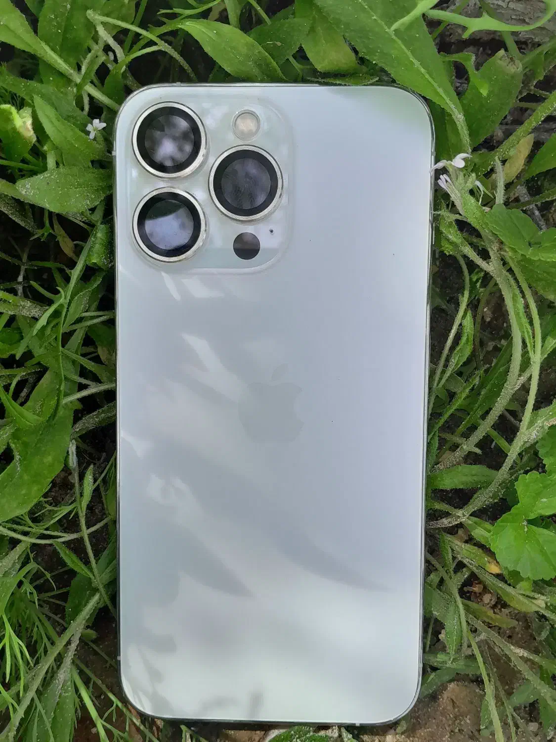 iphone 13 pro|موبایل|داراب, |دیوار