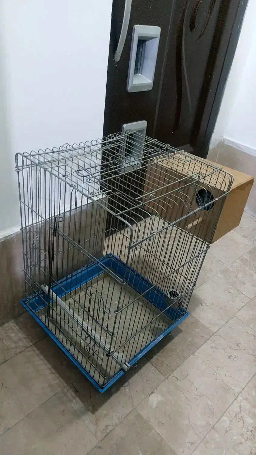 قفس پرنده|لوازم جانبی حیوانات|دماوند, گیلاوند|دیوار