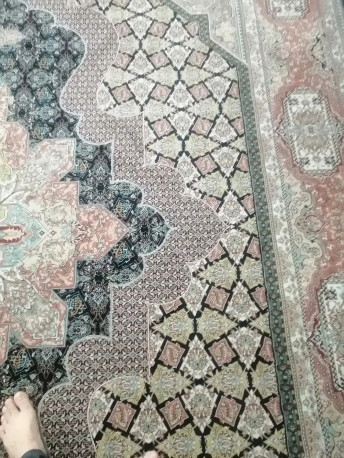 فرش، 12متری 700شانه مشهد|فرش|تهران, شاهین|دیوار