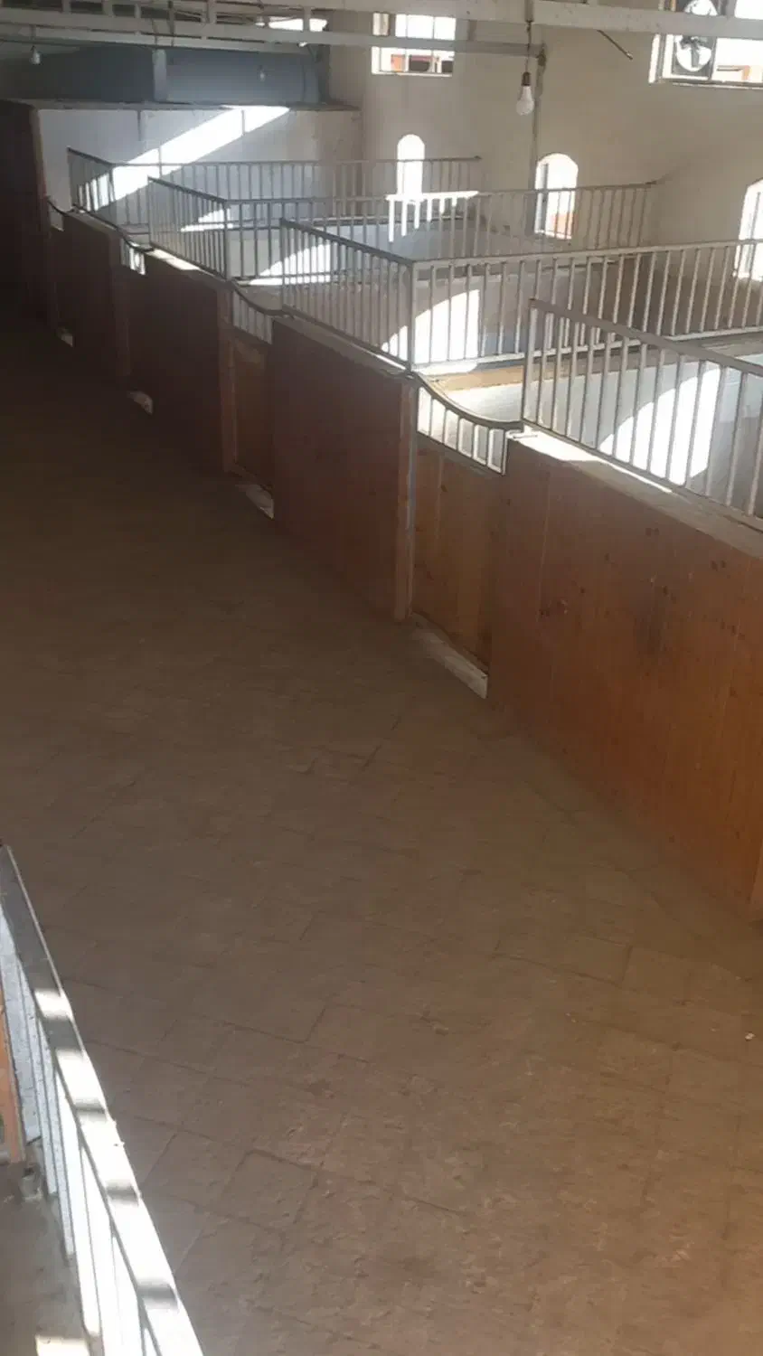 پانسیون و نگهداری اسب در باشگاه|اسب و تجهیزات اسبسواری|اصفهان, قهجاورستان|دیوار