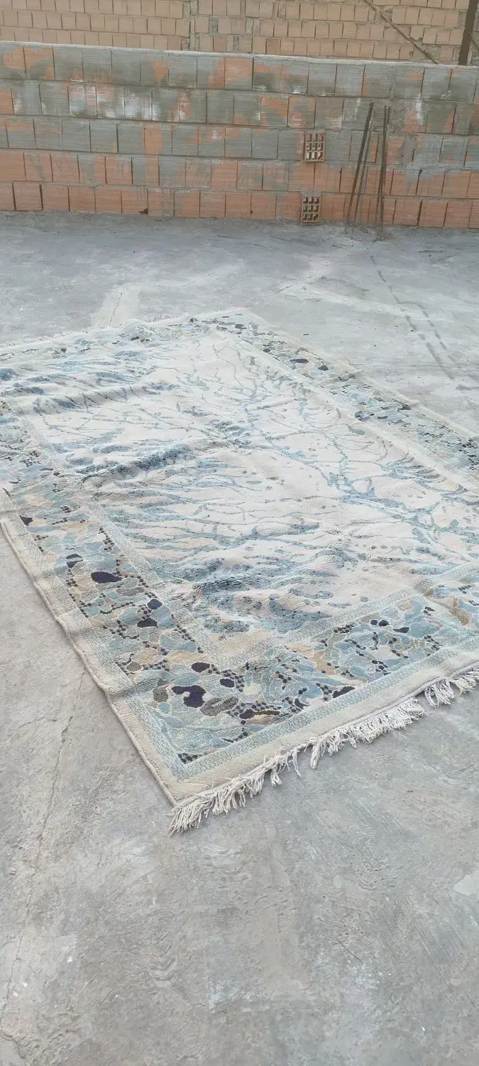 قالی شش متری|فرش|گرگان, |دیوار