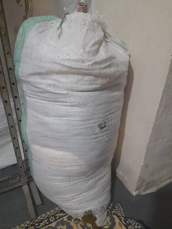 ریس فرش|فرش|خوی, |دیوار