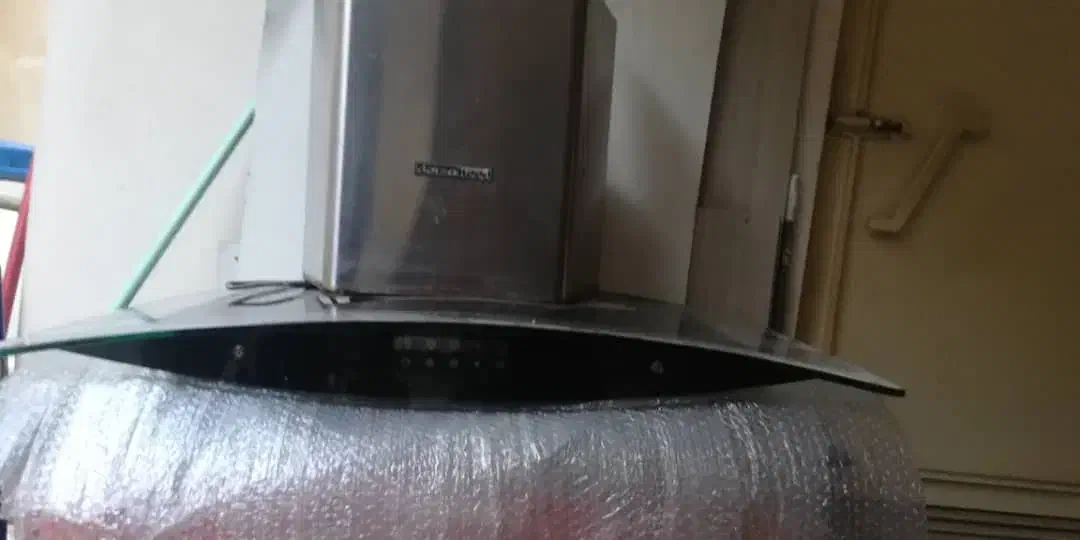 هود|هود|رشت, کاکتوس|دیوار